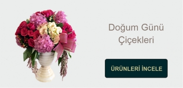 https://www.newbaharflowers.com.tr/