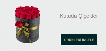 https://www.newbaharflowers.com.tr/