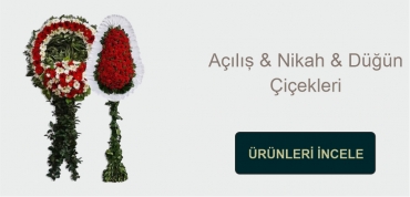 https://www.newbaharflowers.com.tr/