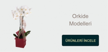 https://www.newbaharflowers.com.tr/
