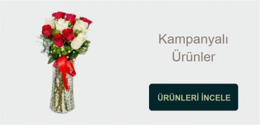 https://www.newbaharflowers.com.tr/